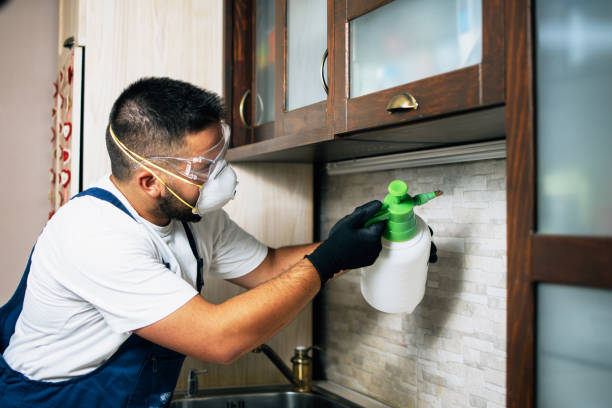Reliable Sandy, UT Pest Control Solutions
