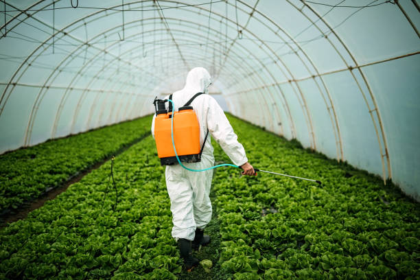 Best Mosquito Control Services  in Sandy, UT