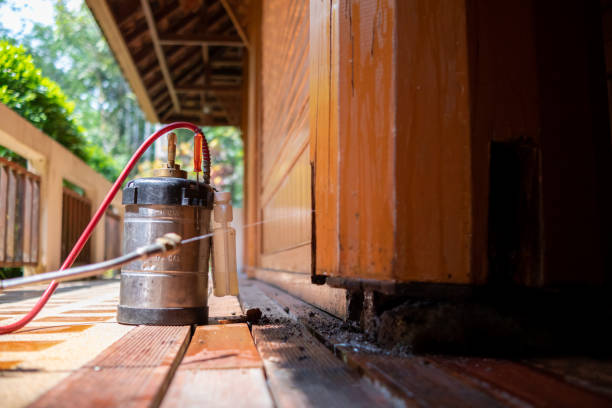 Best Cockroach Control Services  in Sandy, UT