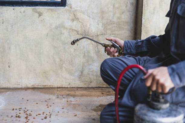 Best Pest Removal Services  in Sandy, UT